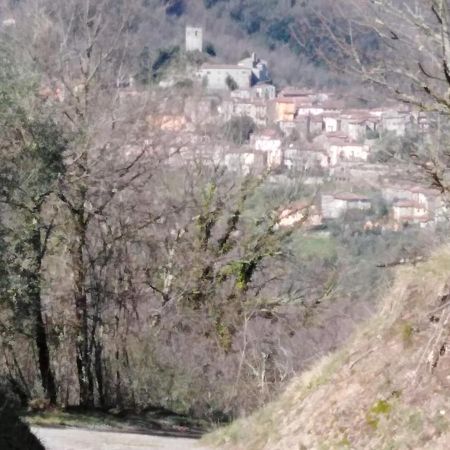 La Difesa Apartment San Romano  Bagian luar foto
