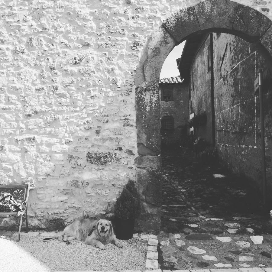 La Difesa Apartment San Romano  Bagian luar foto