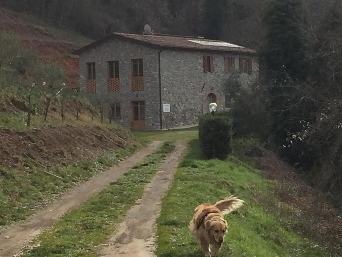 La Difesa Apartment San Romano  Bagian luar foto