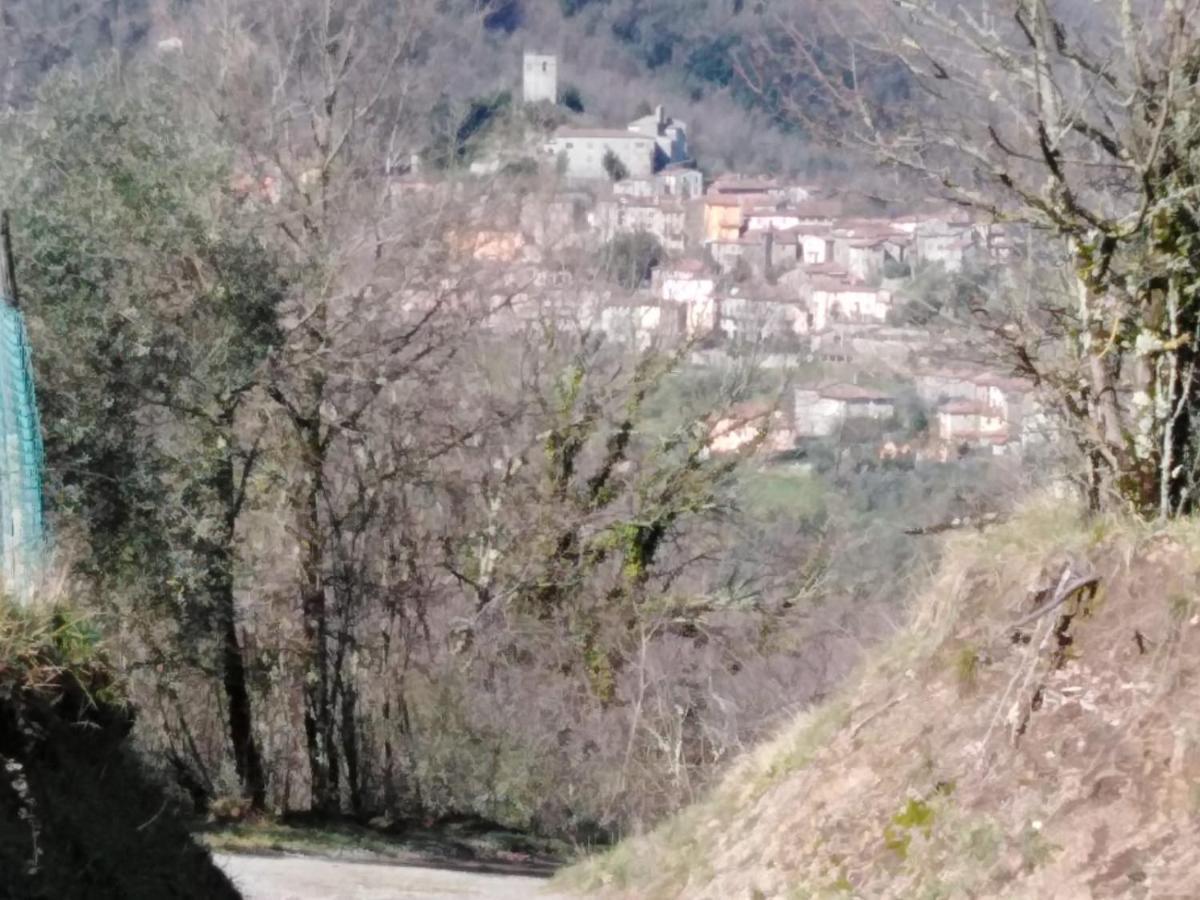 La Difesa Apartment San Romano  Bagian luar foto